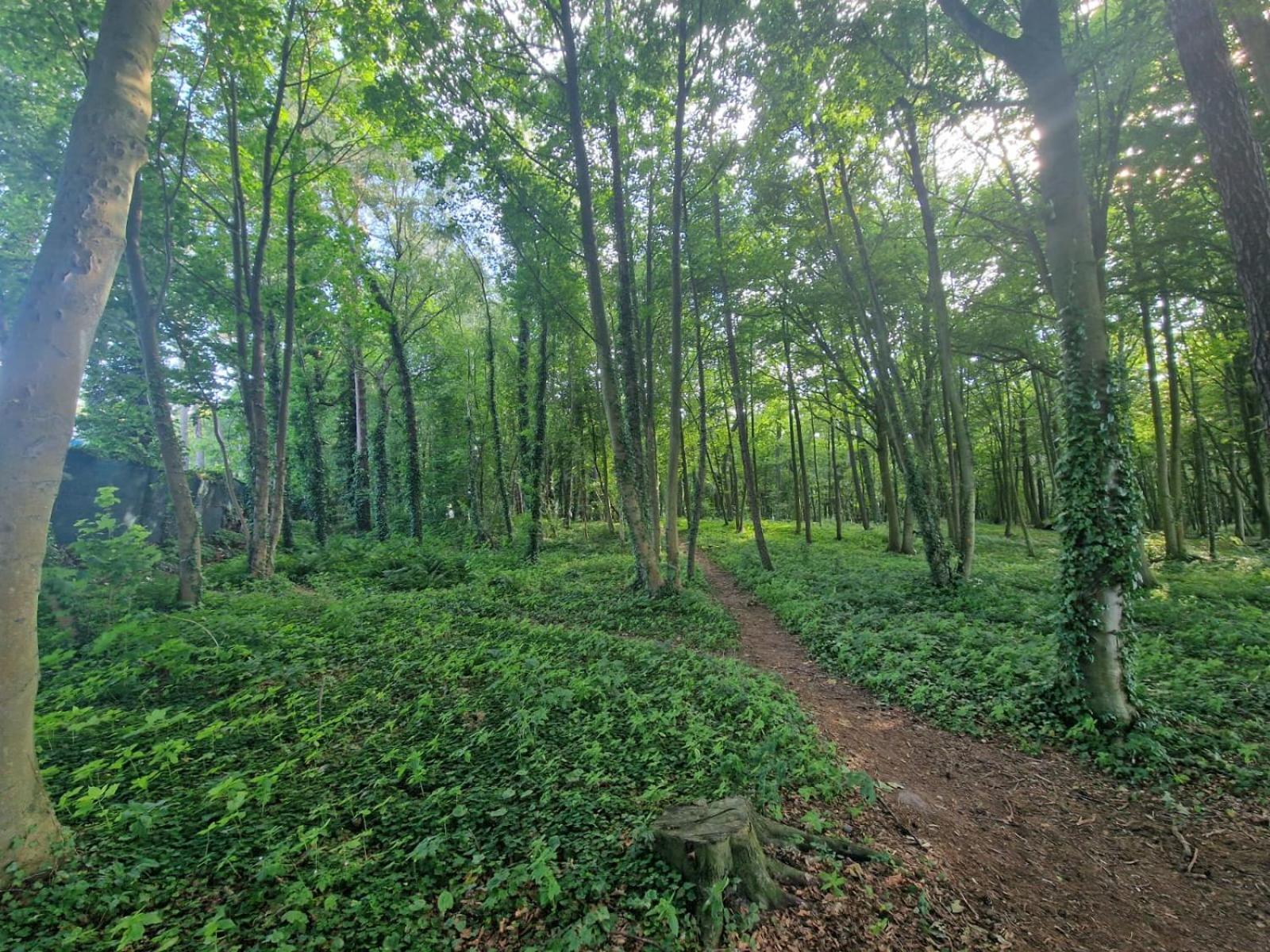 Osrodek Promenada- Faleza Jastrzębia Góra エクステリア 写真