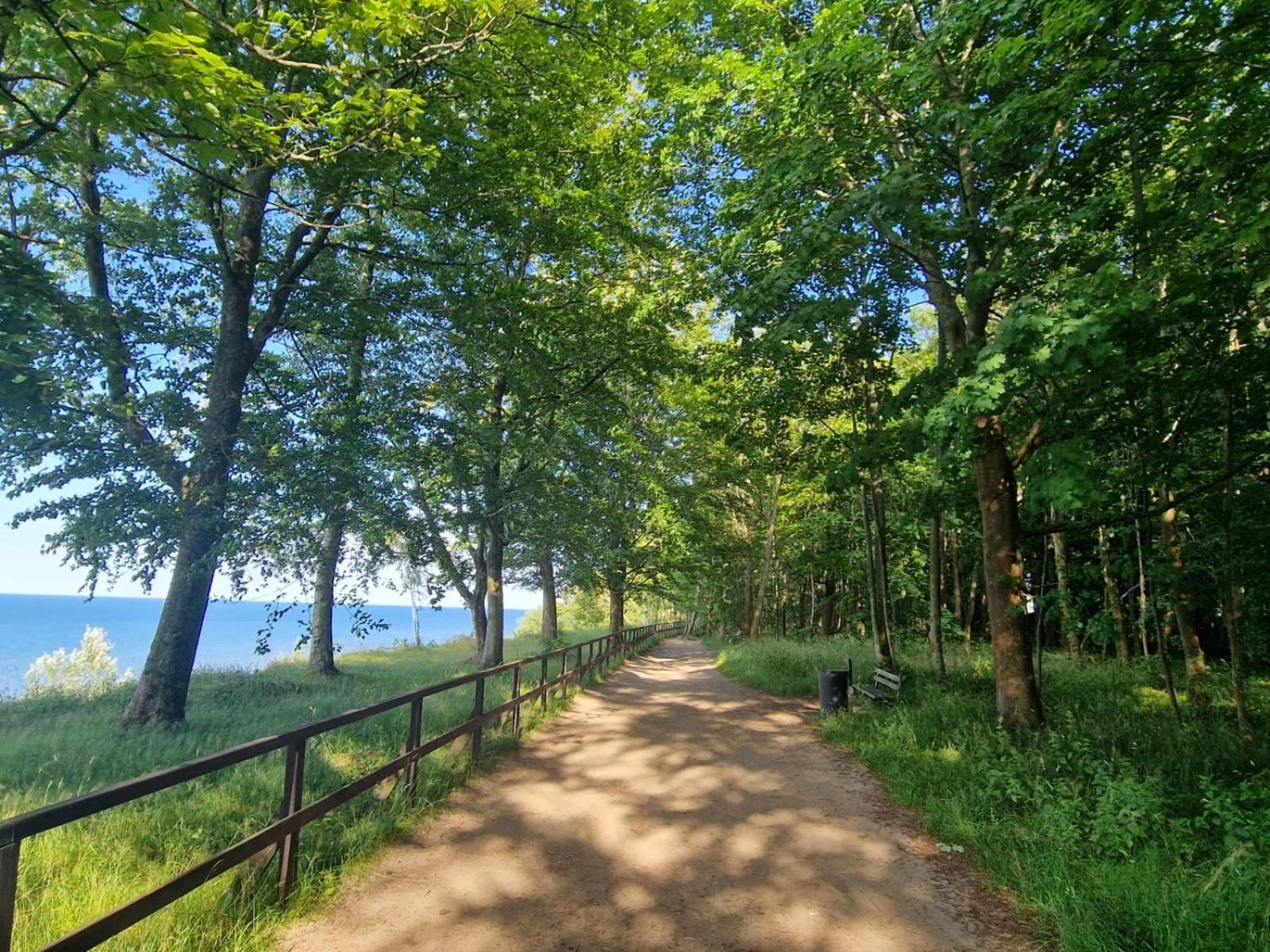 Osrodek Promenada- Faleza Jastrzębia Góra エクステリア 写真